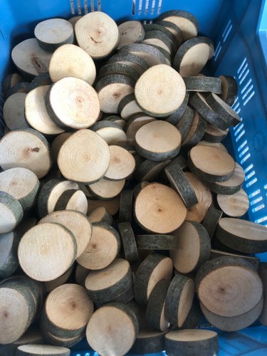100 stück 7cm holzscheiben - stück,