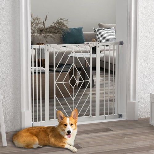 100 hunde - 74-100, cm