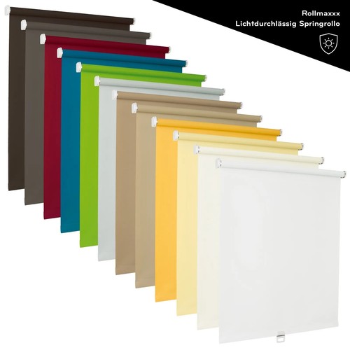 Springrollo standard rollo - springrollo, standard-rollo